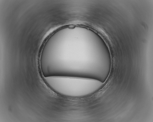 X0000110891412200906180956