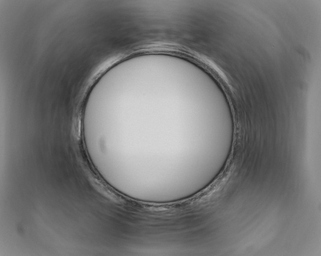 X0000110891413200906180956