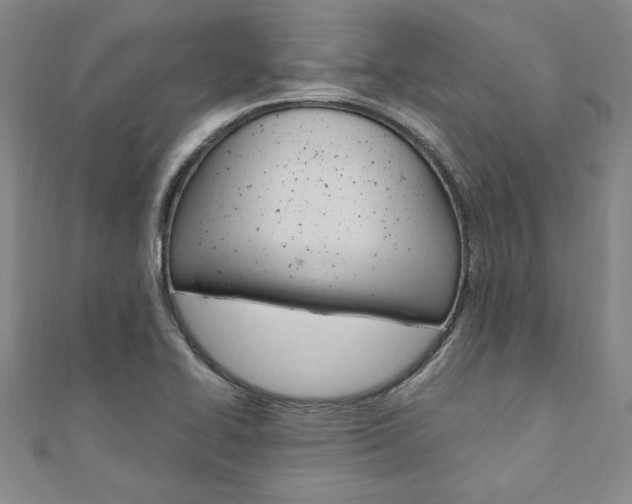 X0000110891414200906180956