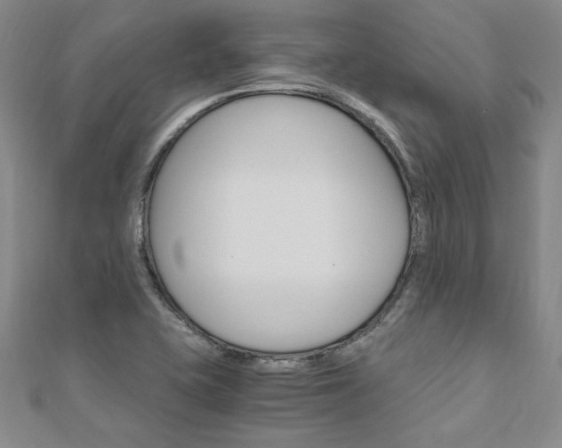 X0000110891415200906180956