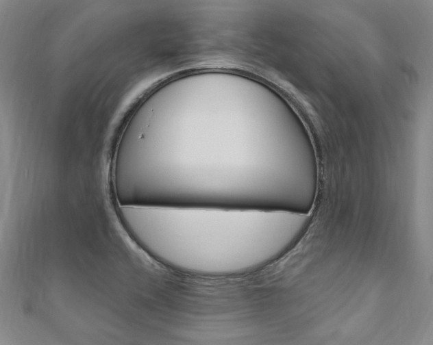 X0000110891416200906180956