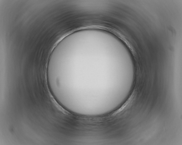 X0000110891417200906180956