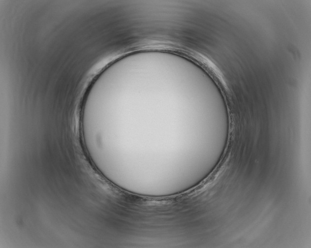 X0000110891419200906180956