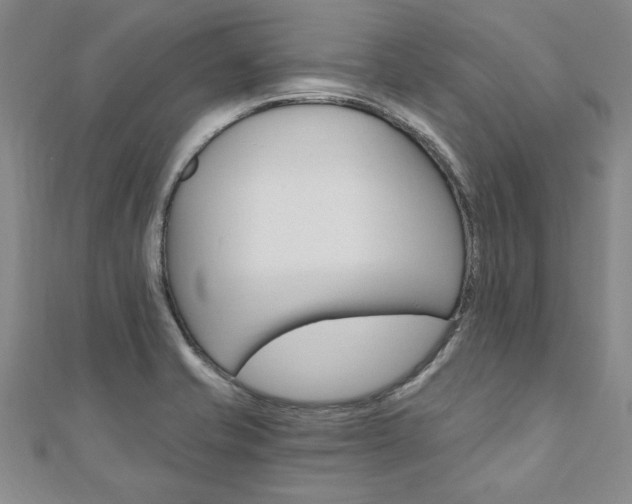 X0000110891421200906180956