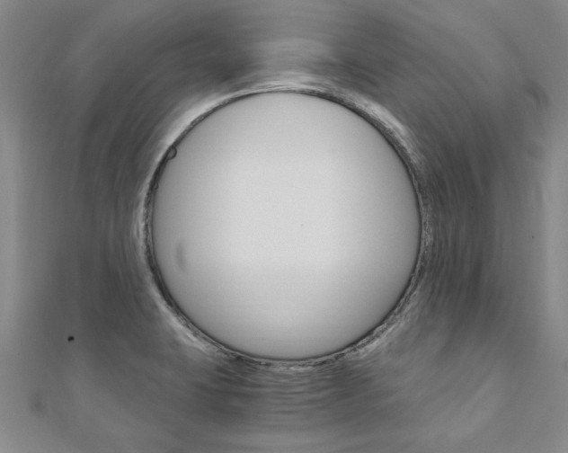 X0000110891423200906180956