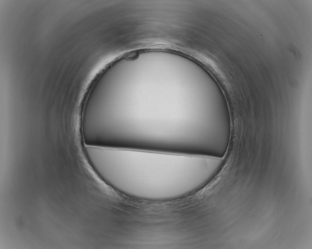 X0000110891424200906180956