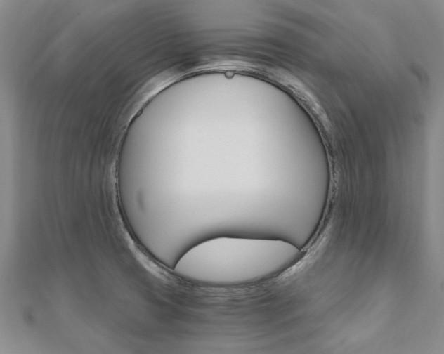 X0000110891425200906180956