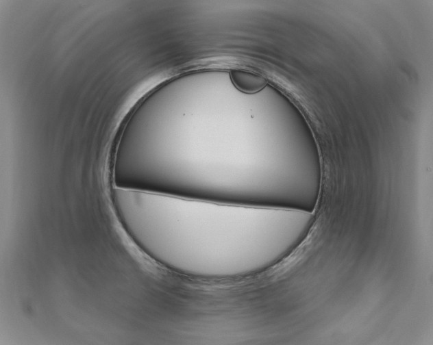 X0000110891426200906180956