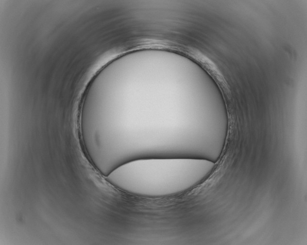X0000110891427200906180956
