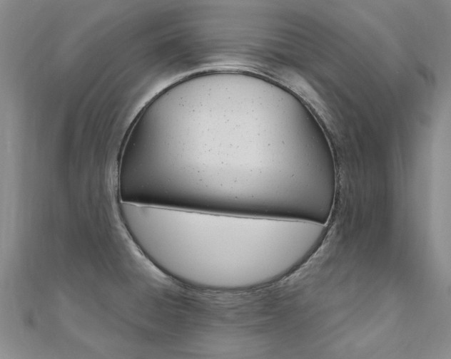 X0000110891428200906180956