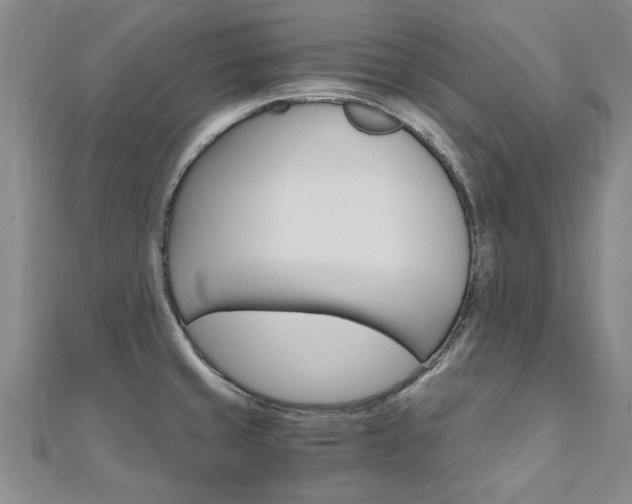 X0000110891429200906180956