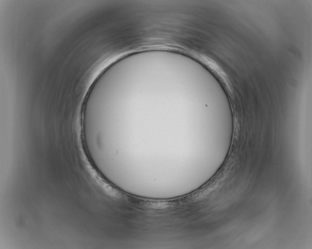 X0000110891431200906180956