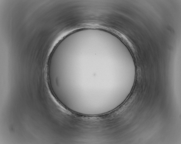 X0000110891432200906180956