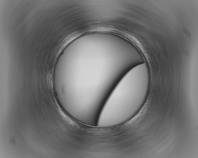X0000110891433200906180956