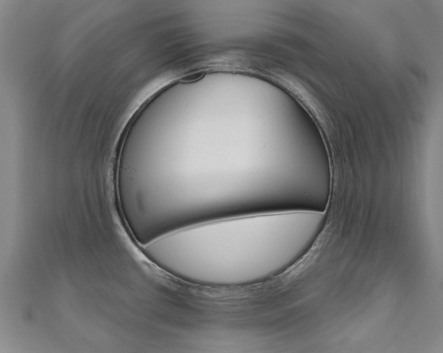 X0000110891434200906180956