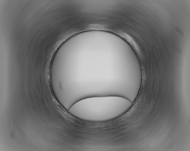 X0000110891435200906180956