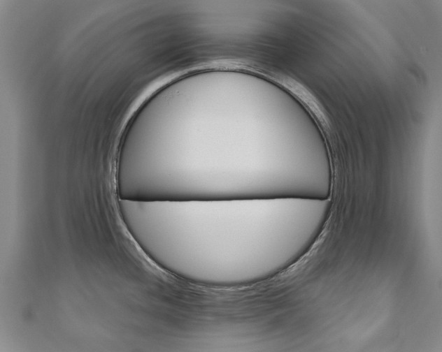 X0000110891436200906180956