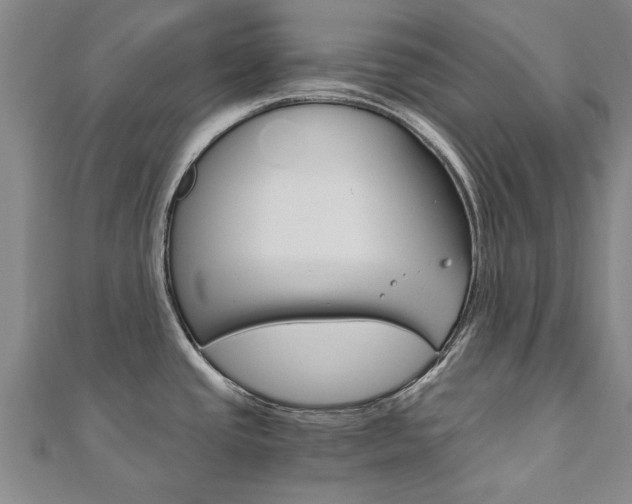 X0000110891437200906180956