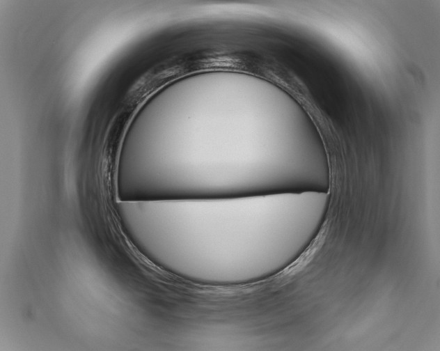 X0000110891438200906180956