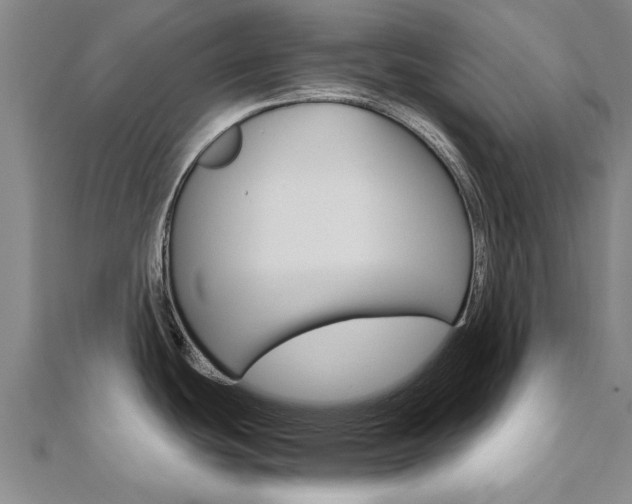 X0000110891439200906180956