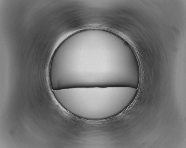 X0000110891440200906180956