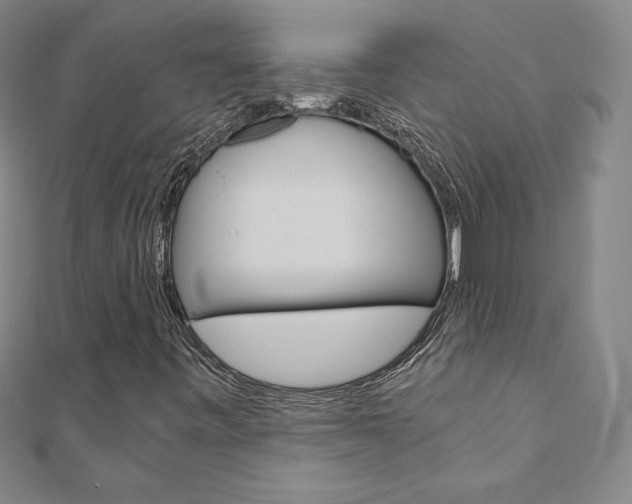 X0000110891443200906180956