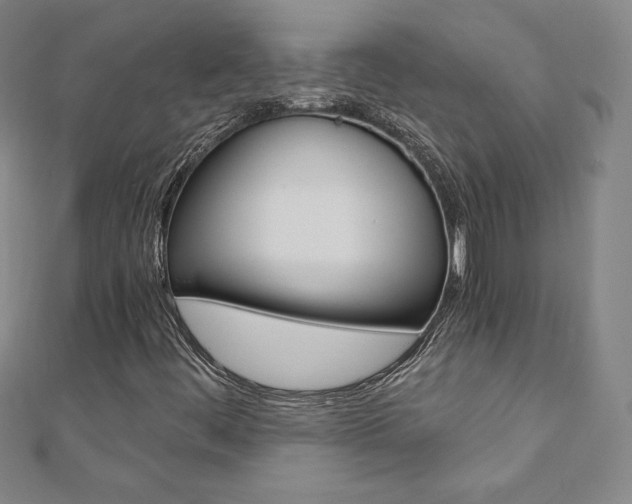 X0000110891444200906180956