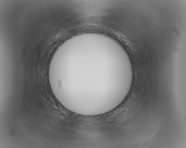 X0000110891445200906180956