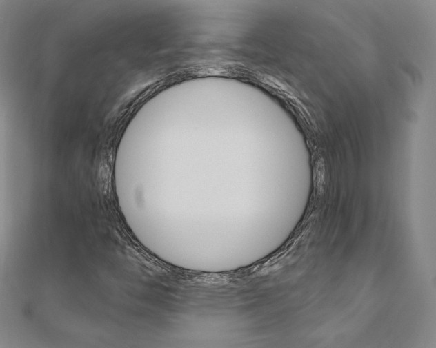 X0000110891446200906180956