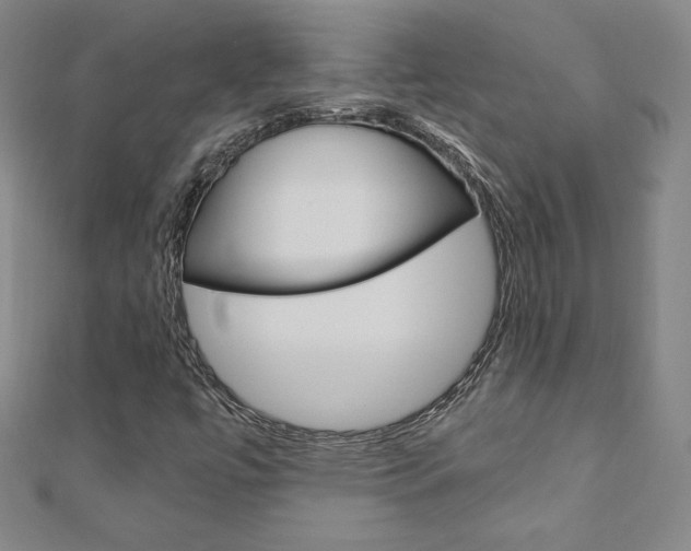 X0000110891447200906180956