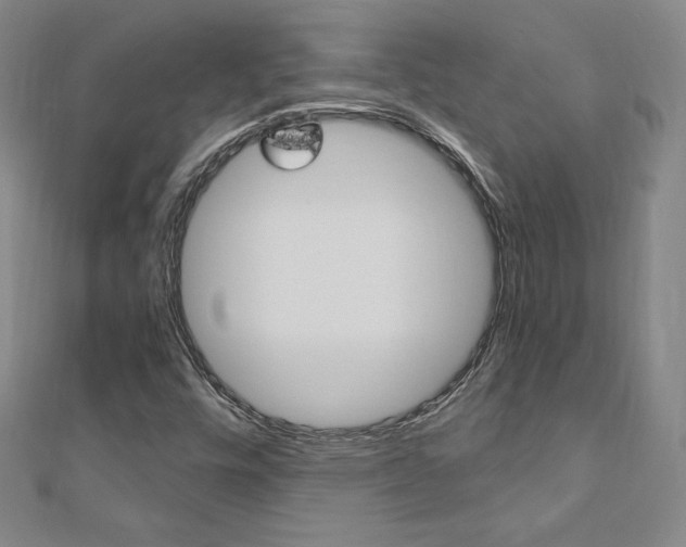 X0000110891448200906180956