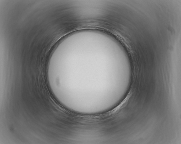 X0000110891449200906180956