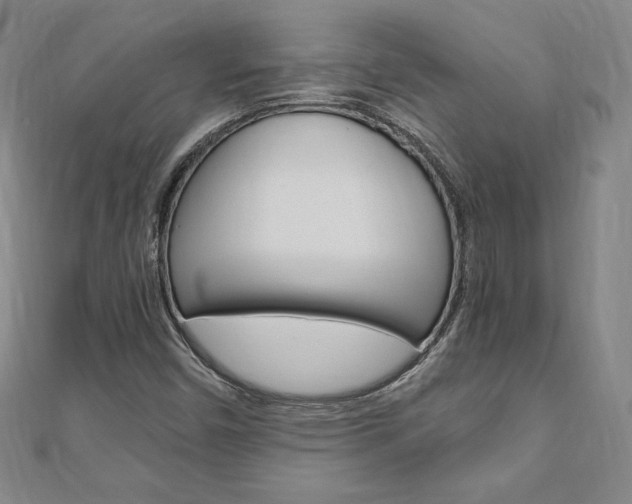 X0000110891450200906180956