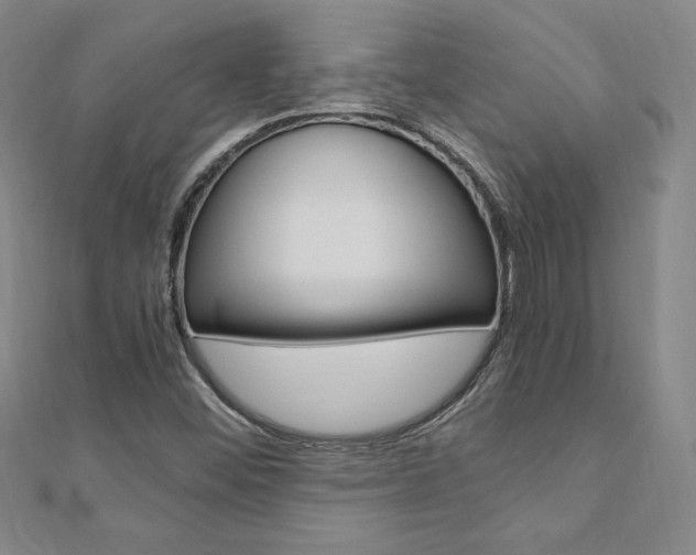 X0000110891452200906180956