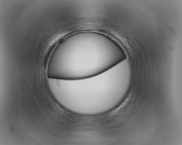 X0000110891453200906180956