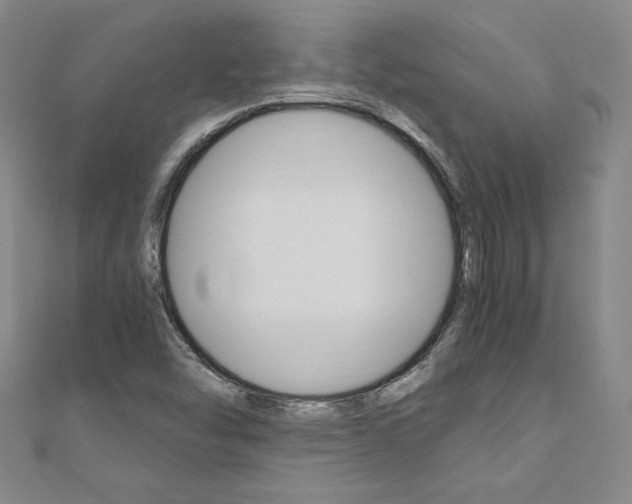 X0000110891454200906180956
