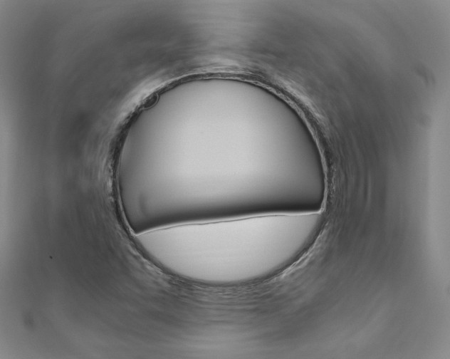 X0000110891455200906180955