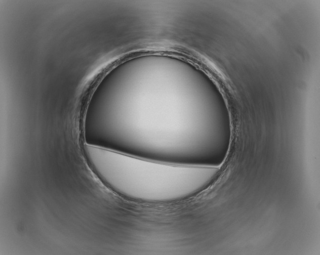 X0000110891456200906180955