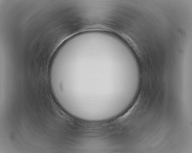 X0000110891457200906180955