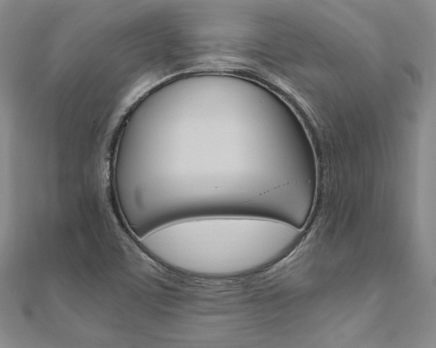 X0000110891459200906180955