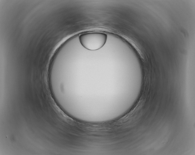 X0000110891460200906180955