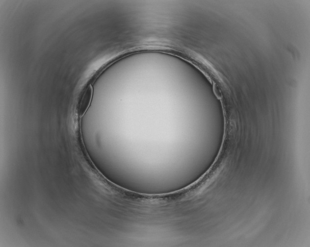 X0000110891461200906180955