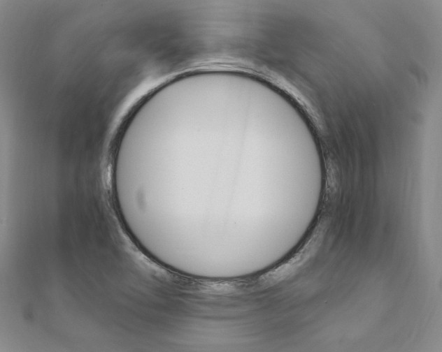 X0000110891462200906180955