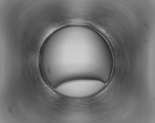 X0000110891463200906180955