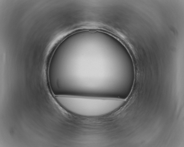 X0000110891464200906180955