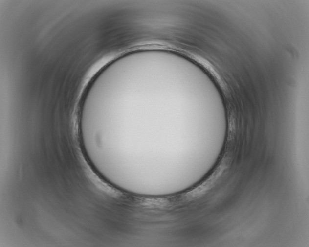 X0000110891466200906180955