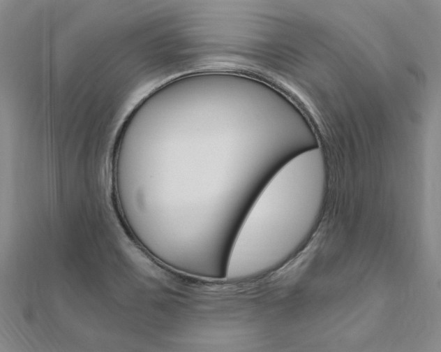 X0000110891467200906180955