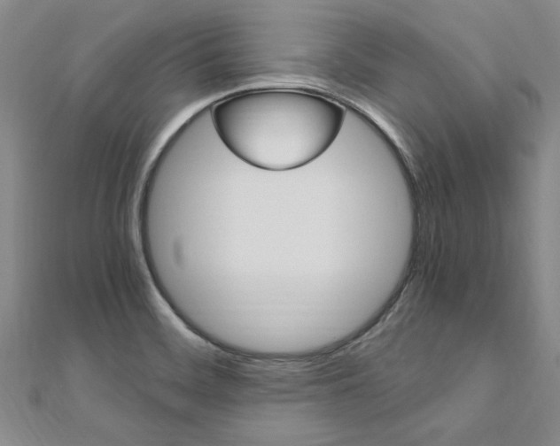 X0000110891468200906180955