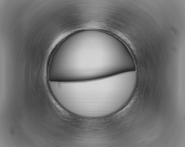X0000110891469200906180955