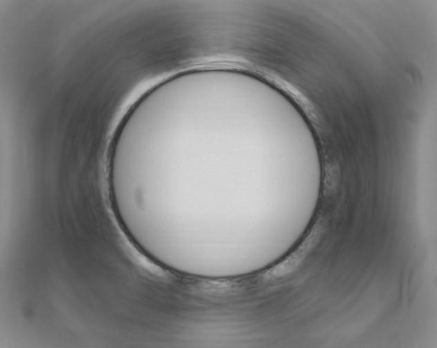 X0000110891470200906180955